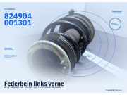 Federbein links vorne BMW X3 (E83) 824904001301