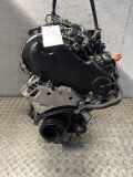 Motor ohne Anbauteile VW Caddy III Kombi (2KB) CAYD