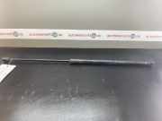 Heckklappendämpfer OPEL Corsa D (S07) 13182537