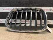Kühlergrill BMW X1 (F48) 7354823