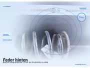 Feder hinten BMW 3er Coupe (E36)