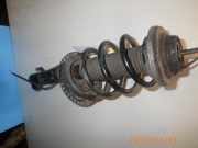 Federbein links vorne VW Transporter T5 Bus