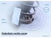 Federbein rechts vorne OPEL Omega B