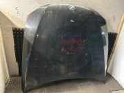 Motorhaube BMW 3er Coupe (E92)