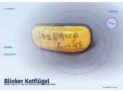 Blinker Kotflügel SAAB 9000