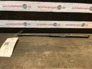 Heckklappendämpfer CITROEN C3 I (FC) 9639853880