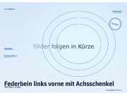 Federbein links vorne mit Achsschenkel VW Polo (9A, 9N)