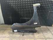 Kotflügel links vorne FIAT Punto Evo (199)