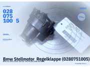 Bmw Stellmotor Regelklappe (0280751005) 0280751005