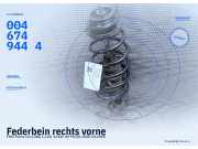 Federbein rechts vorne FIAT Punto Van (188) 0050711334 0046749444