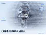 Federbein rechts vorne SKODA Fabia II (542)