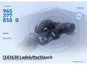 (143630 Ladeluftschlauch FORD Fiesta VII (HJ, HF) 9653778180) 9653778180