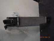 Ladeluftkühler FIAT Punto Evo (199) 866450000