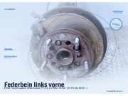 Federbein links vorne FORD Transit Custom V362 Kasten (FY, FZ)