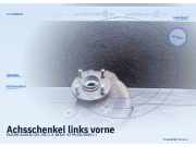 Achsschenkel links vorne SUZUKI Swift III (EZ, MZ)