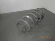 Feder hinten MITSUBISHI Colt VI (Z2, Z3)