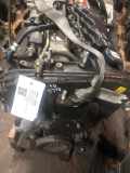 Motor ohne Anbauteile FIAT Punto (188) 188A7000