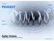 Feder hinten PEUGEOT Bipper PEUGEOT