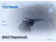 (80617 Magnetventil BMW 5er (E39) 72278600) 72278600