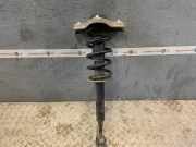Federbein links vorne AUDI A4 (8E, B6) AUDI