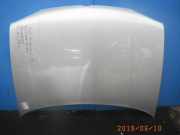 Motorhaube VW Bora Variant (1J)