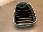 Kühlergrill BMW 3er (E46)