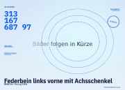 Federbein links vorne mit Achsschenkel BMW 5er Touring (E61) 31316768797