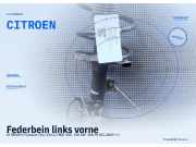 Federbein links vorne CITROEN C-Crosser (VU, VV) CITROEN