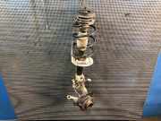 Federbein rechts vorne FIAT Punto (188)