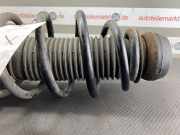 Federbein rechts vorne AUDI A3 (8L) 1J0413031R