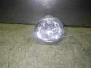 Nebelscheinwerfer links CITROEN C2