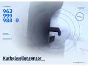 Kurbelwellensensor PEUGEOT 207 9639999880