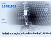 Federbein rechts mit Achsschenkel 22951823