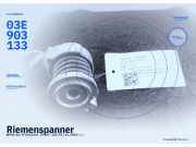 Riemenspanner BMW 1er (F20) 03E903133