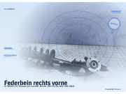Federbein rechts vorne CITROEN C4 I Picasso (U)
