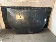 Motorhaube DACIA Sandero I (BS)