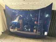 Motorhaube VW Golf IV (1J)