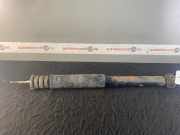 Stoßdämpfer hinten RENAULT Twingo II (CN0) 562109412