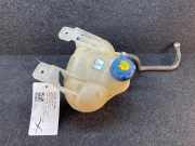 Ausgleichsbehälter FIAT Grande Punto (199) 0077363862