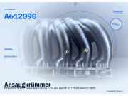 Ansaugkrümmer MERCEDES-BENZ E-Klasse Kombi (S211) A612090