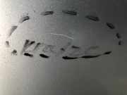 Tür rechts hinten VW Golf V Plus (5M, 521)