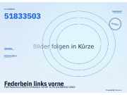 Federbein links vorne FIAT Punto Evo (199) 51833503