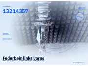 Federbein links vorne OPEL Corsa D (S07) 13214357