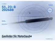 Gasfeder für Motorhaube BMW 3er Touring (E46) 51.23-8202688