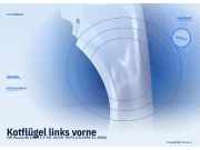 Kotflügel links vorne VW Passat (3B2, B5)