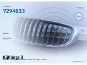 Kühlergrill BMW 4er Coupe (F32, F82) 7294813