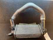 Ladeluftkühler FORD EcoSport H1BG-6K775-AC