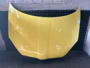 Motorhaube SKODA Fabia II (542)