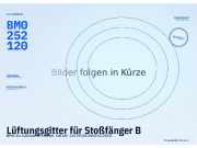 Lüftungsgitter für Stoßfänger BMW 3er Cabriolet (E93) BM0252120