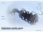 Federbein rechts vorne ROVER 200 (RF)